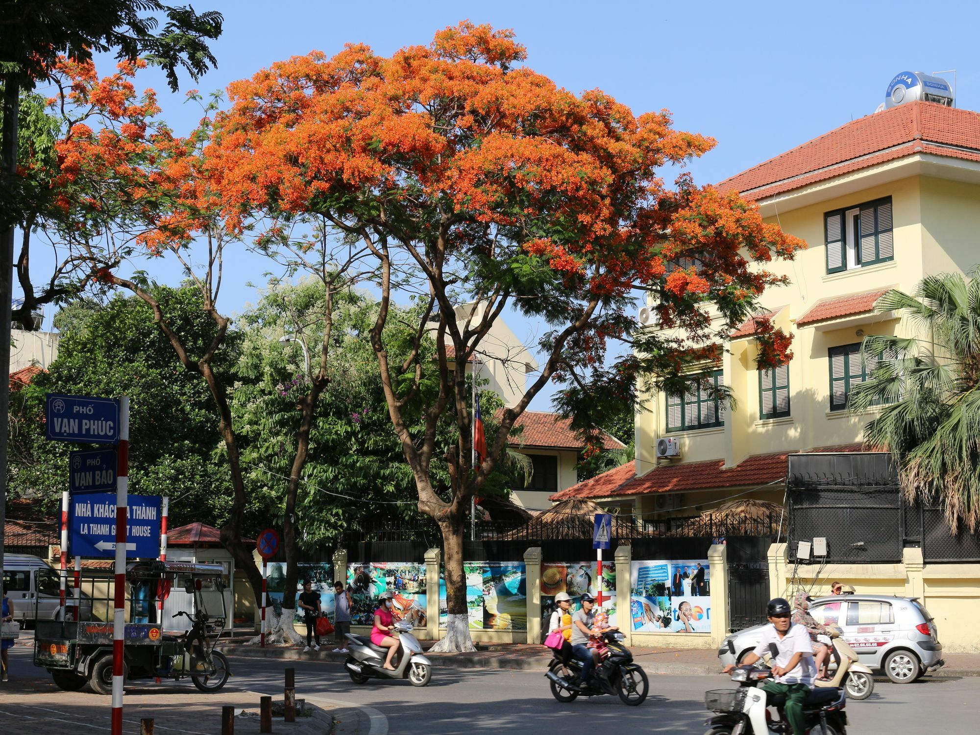 Palmo & 1 Hanoi