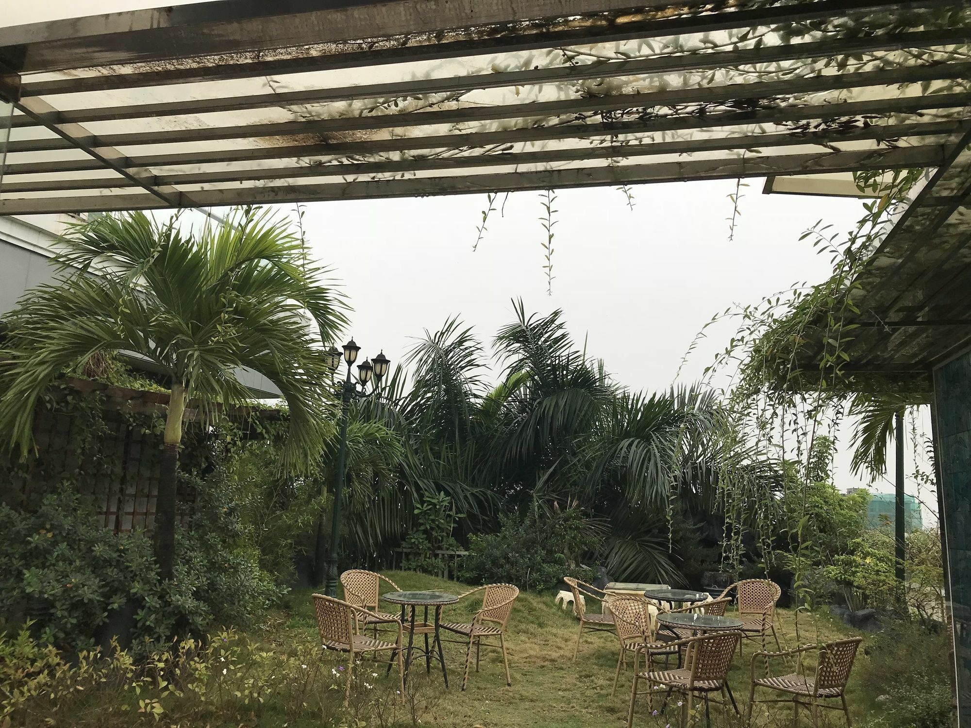 Apartment Anh Tri Flower