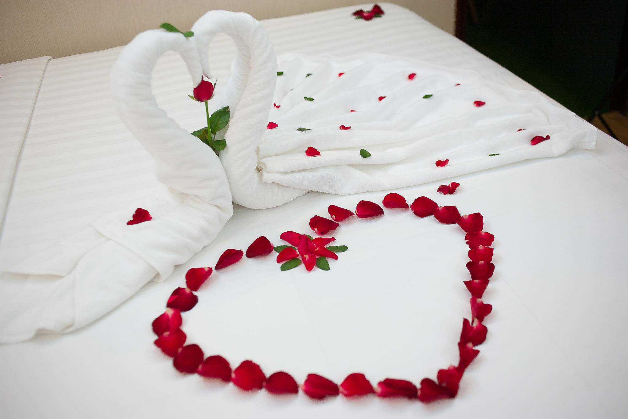 Lotus Boutique Hotel 4*