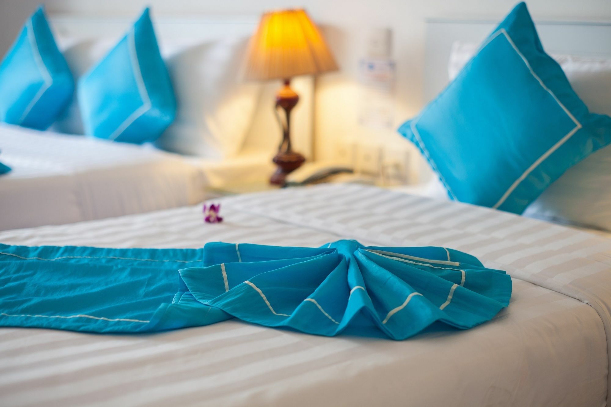 Hotel Buddy & Travel 2*