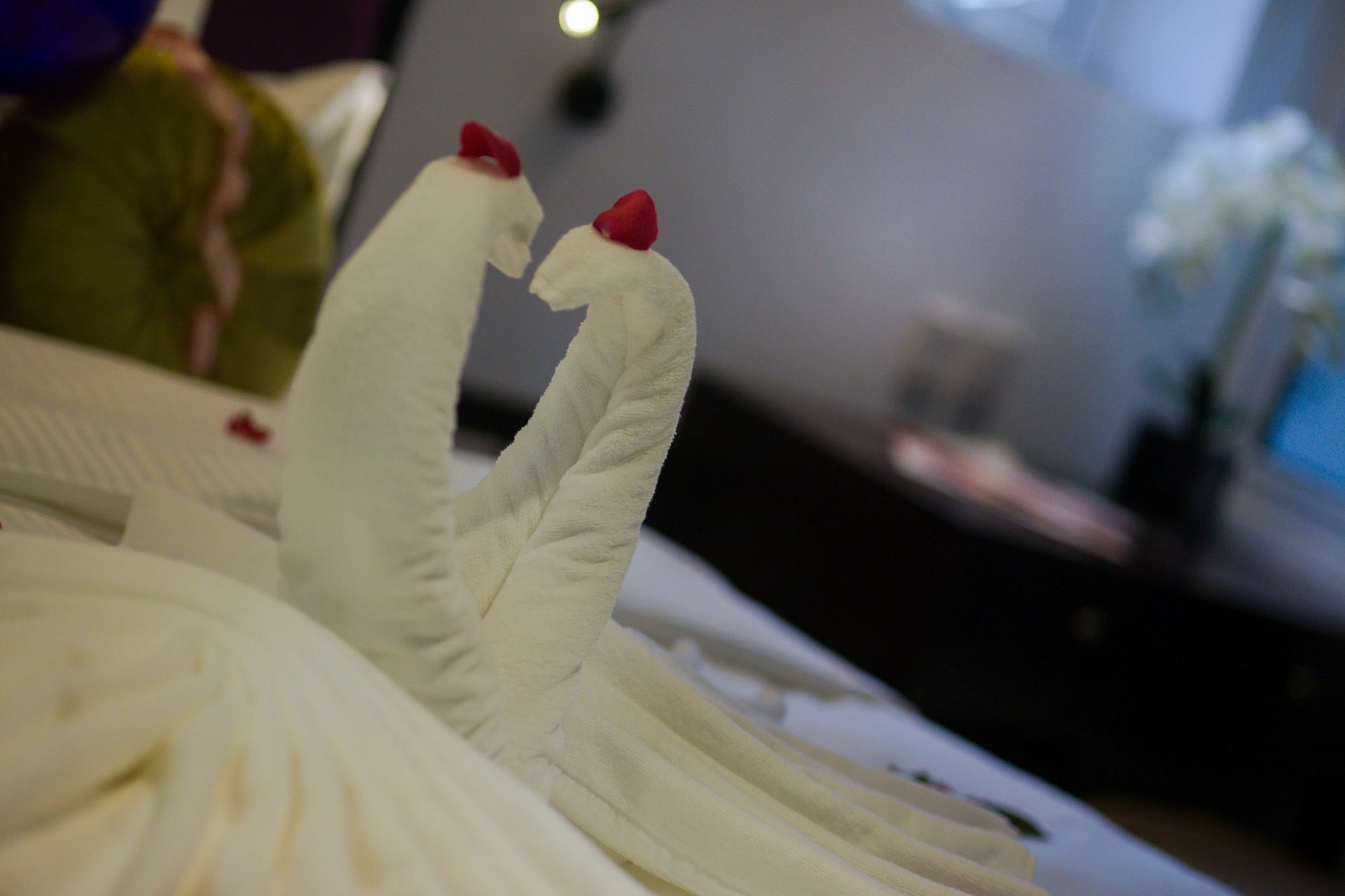 Hanoi Marvellous Hotel & Spa Hanoi