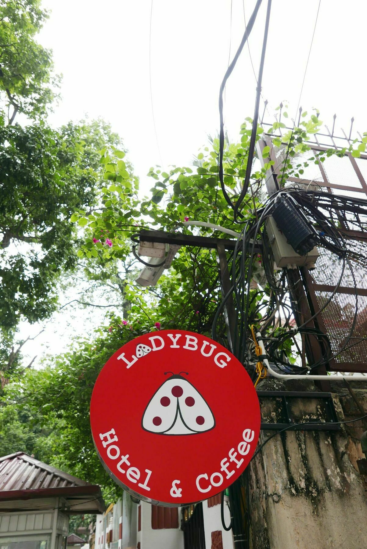 Ladybug Boutique Hotel Hanoi