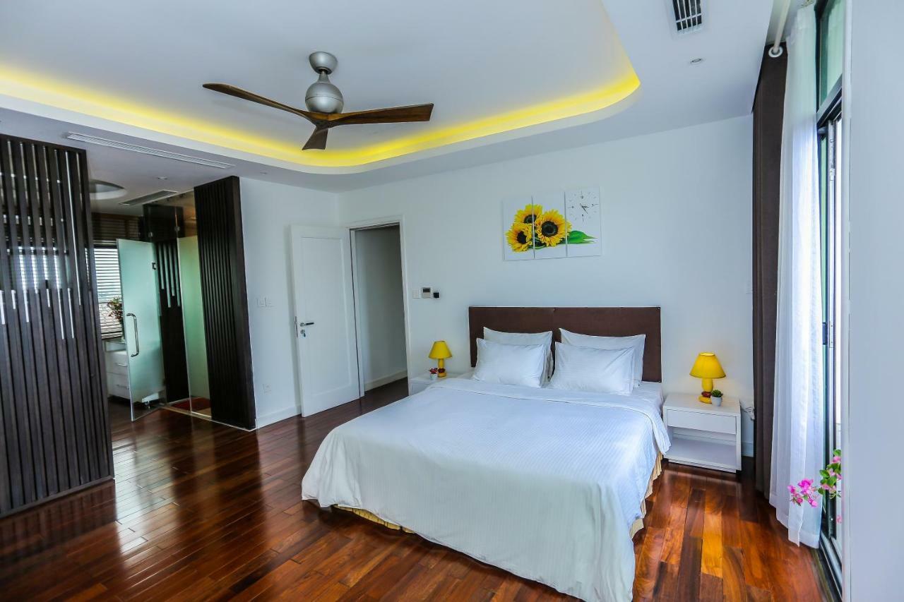 Ficus * Hanoi