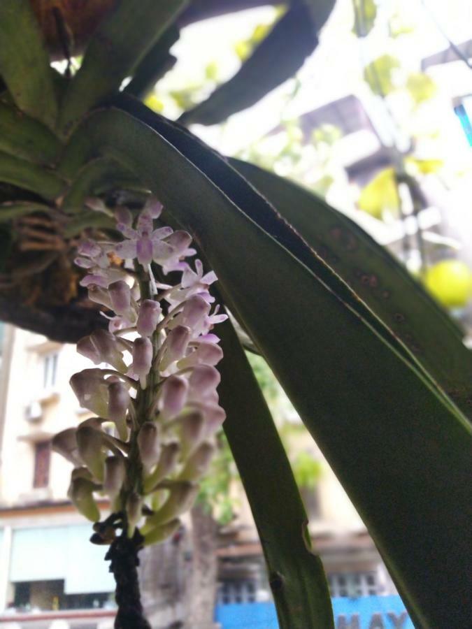 Balcony Hospedagem domiciliar *