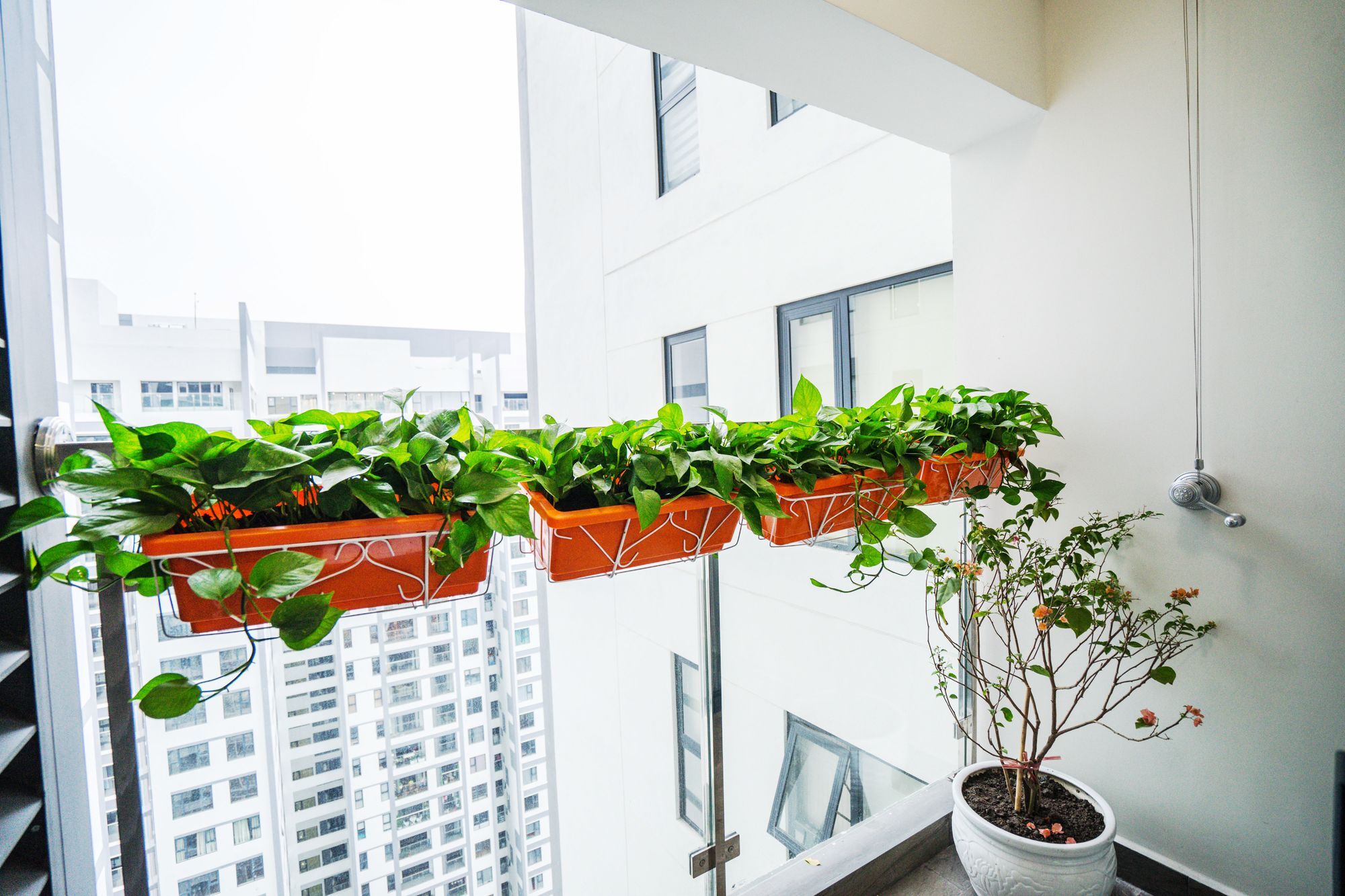 Apartment Luxury Imperia *