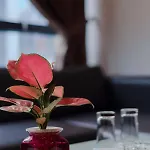 Blue Diamond Apartment Hotel