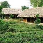 Family Homestay Ba VI - Hostel