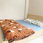 Warm Haven 501Dm