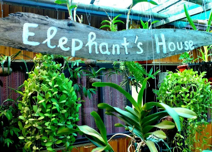 Elephant House - Duong Lam Homestay