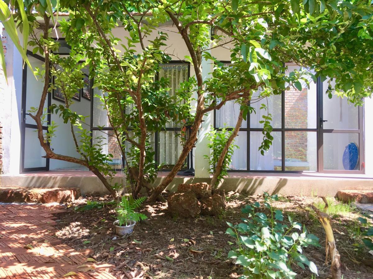 Elephant House - Duong Lam Homestay *