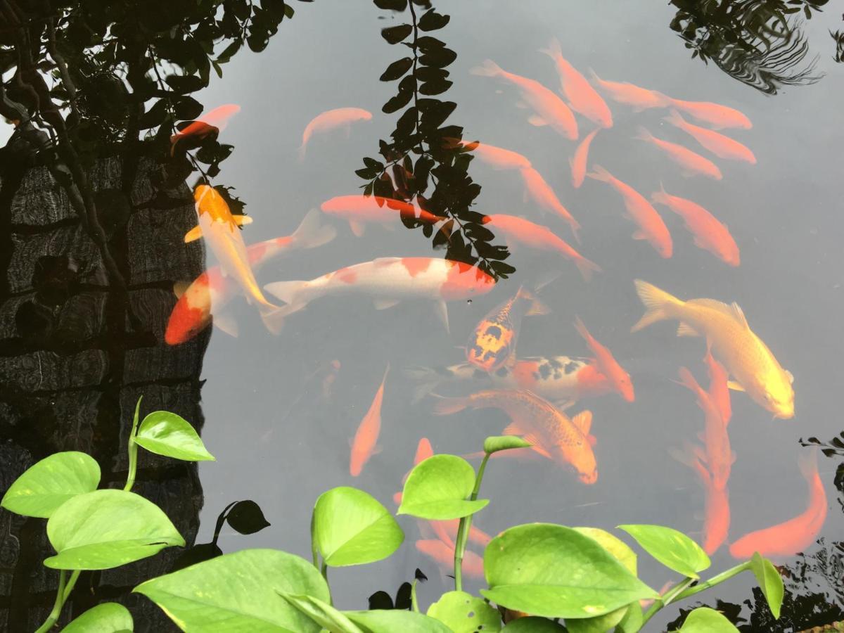 Country house Elephant House - Duong Lam Homestay