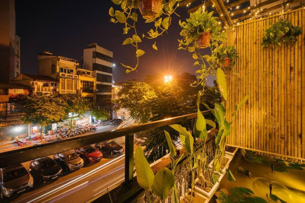 - Oasis View 2