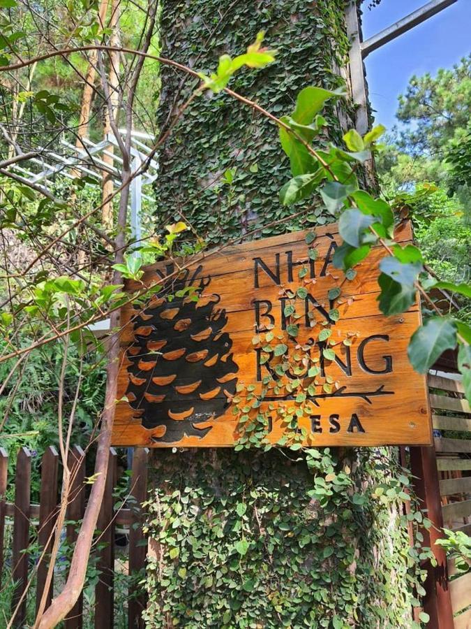 U Lesa - Nhà Bên Rừng Hà Nội