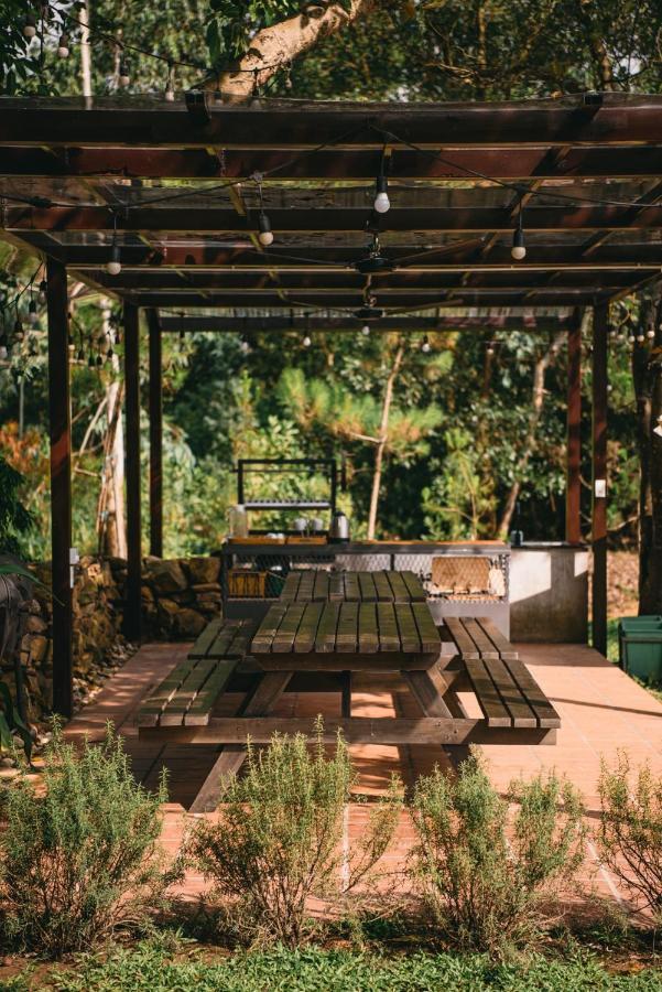 Ao Garden - Soc Son