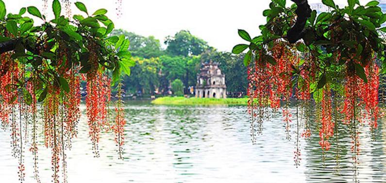 Joye Hanoi