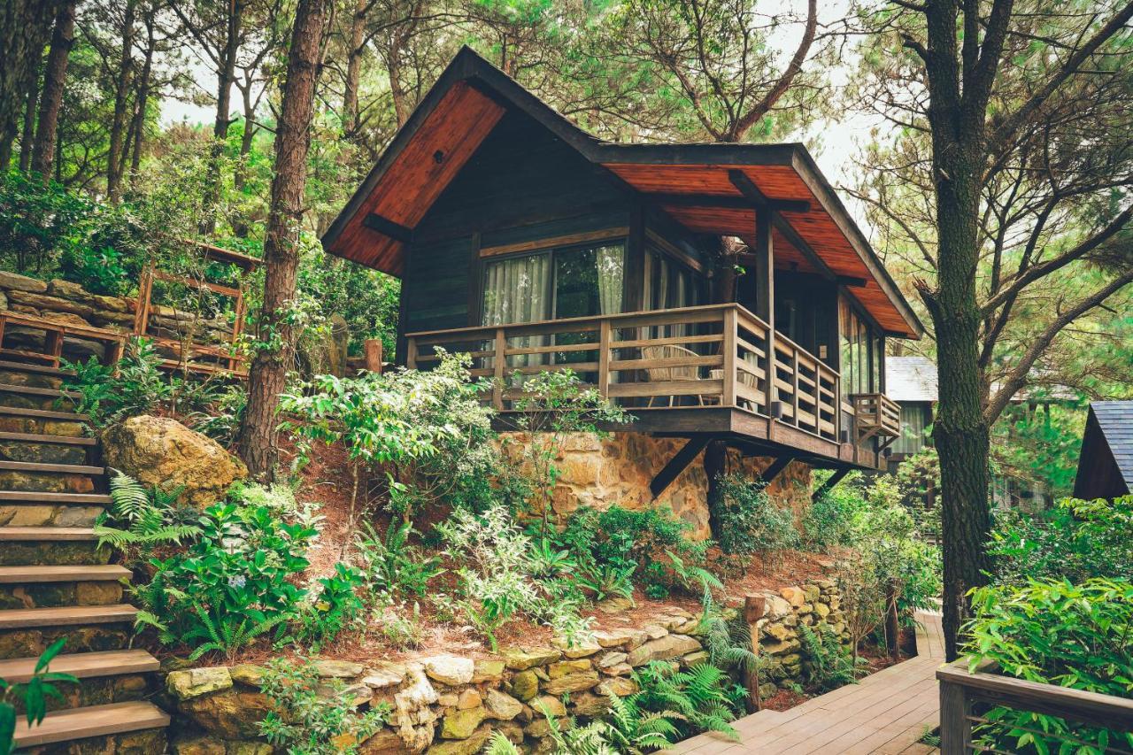 Amaya Retreat *