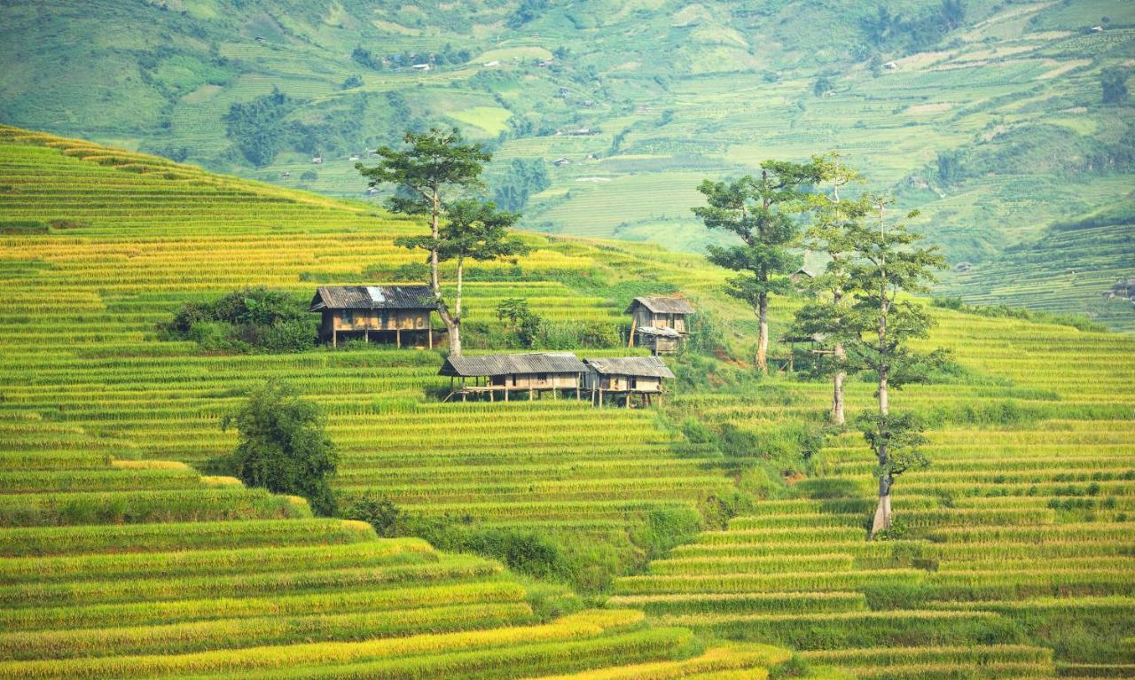 Easystay - 154 đinh Thôn, Mỹ đình, Hà Nội * Hà Nội
