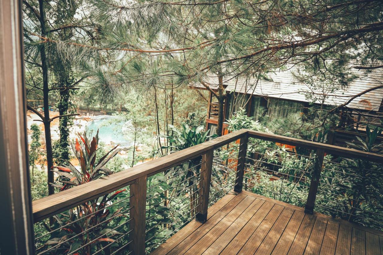 Amaya Retreat *