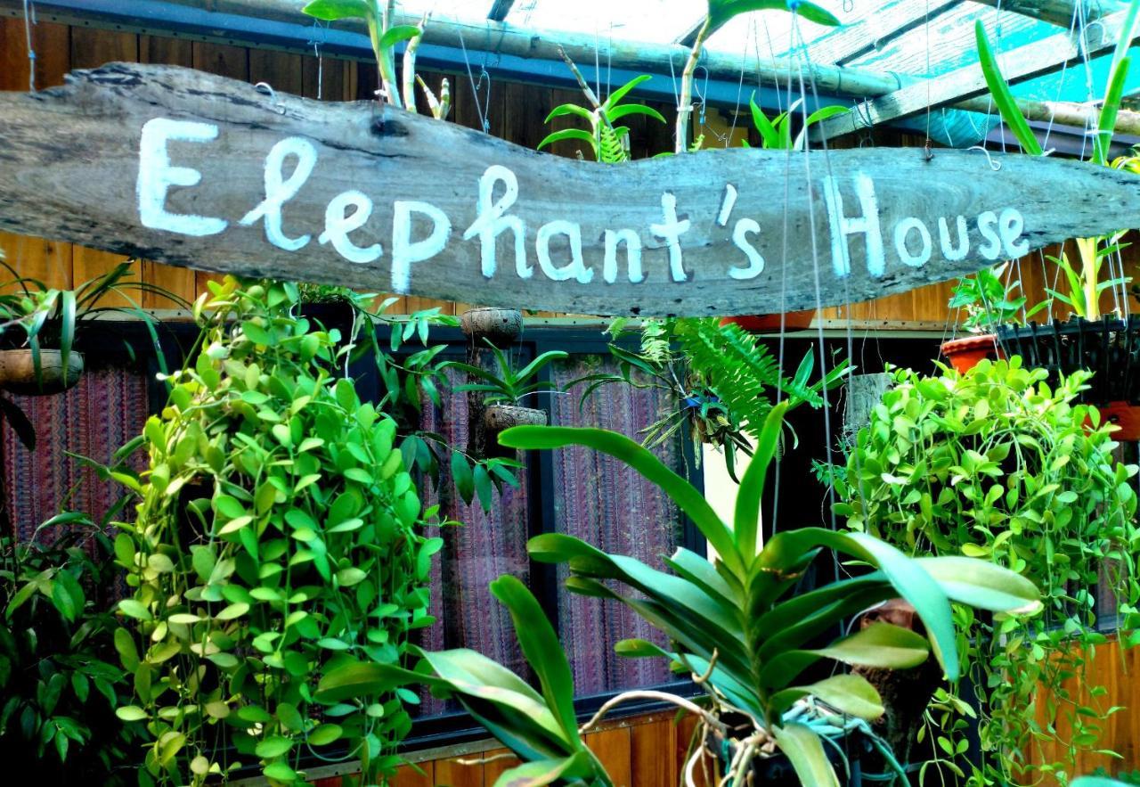 Country house Elephant House - Duong Lam Homestay Hanoi
