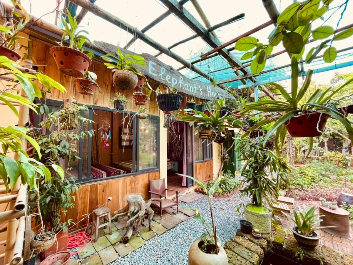Country house Elephant House - Duong Lam Homestay