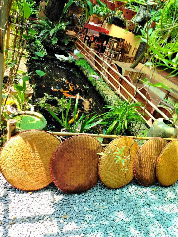 Country house Elephant House - Duong Lam Homestay Hanoi