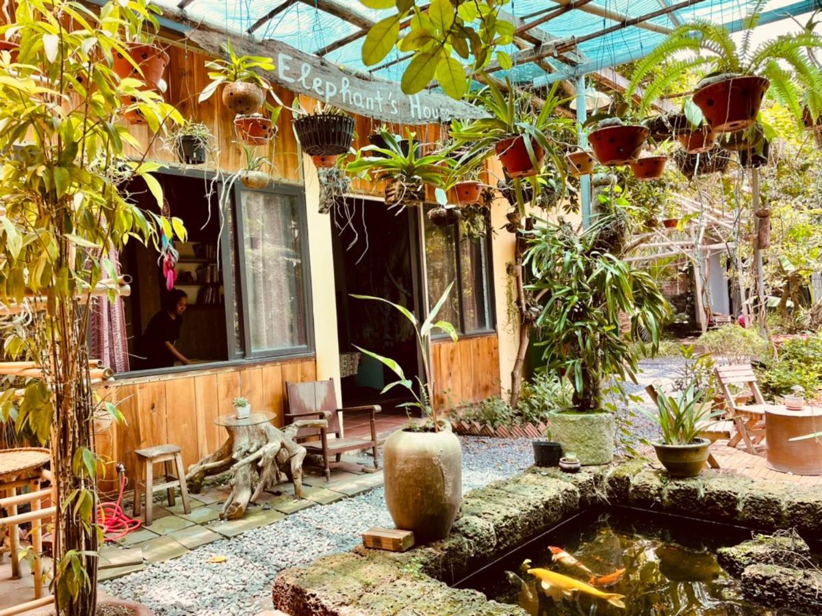 Elephant House - Duong Lam Homestay Country house *