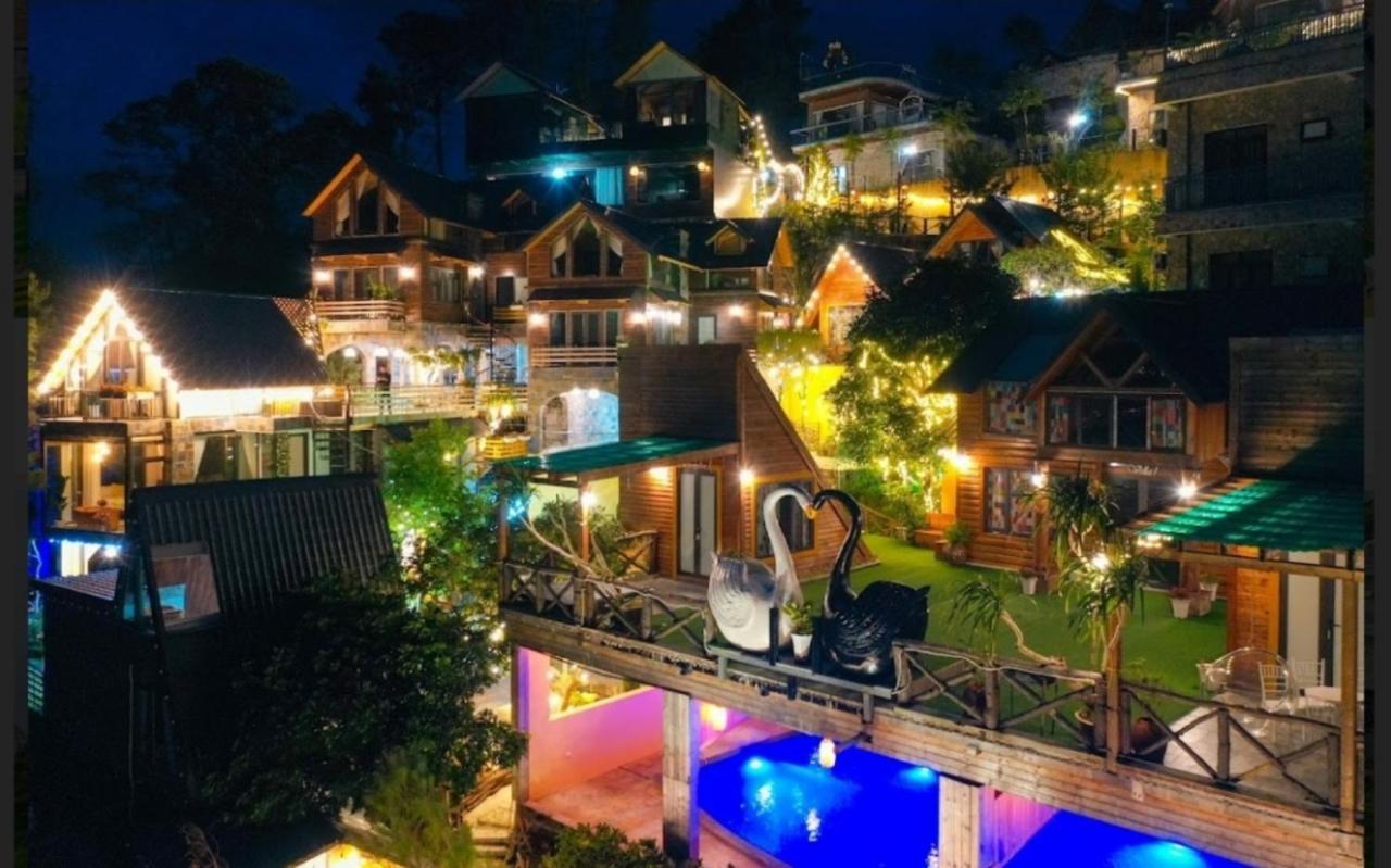 Homestay Mimosa