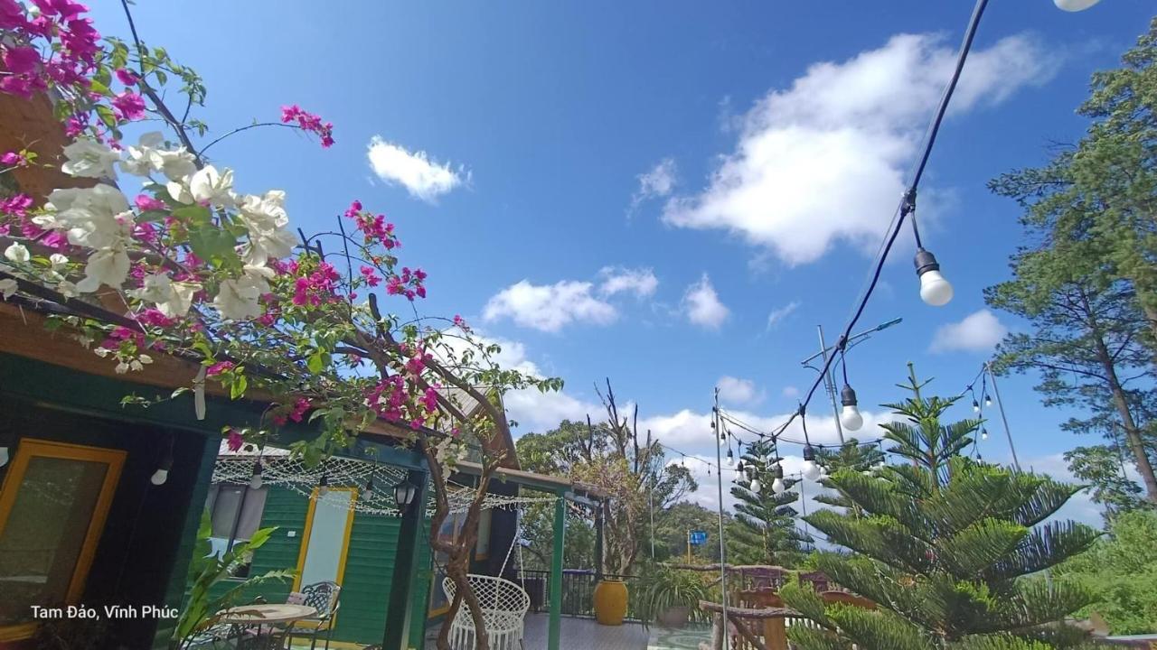 Homestay Mimosa