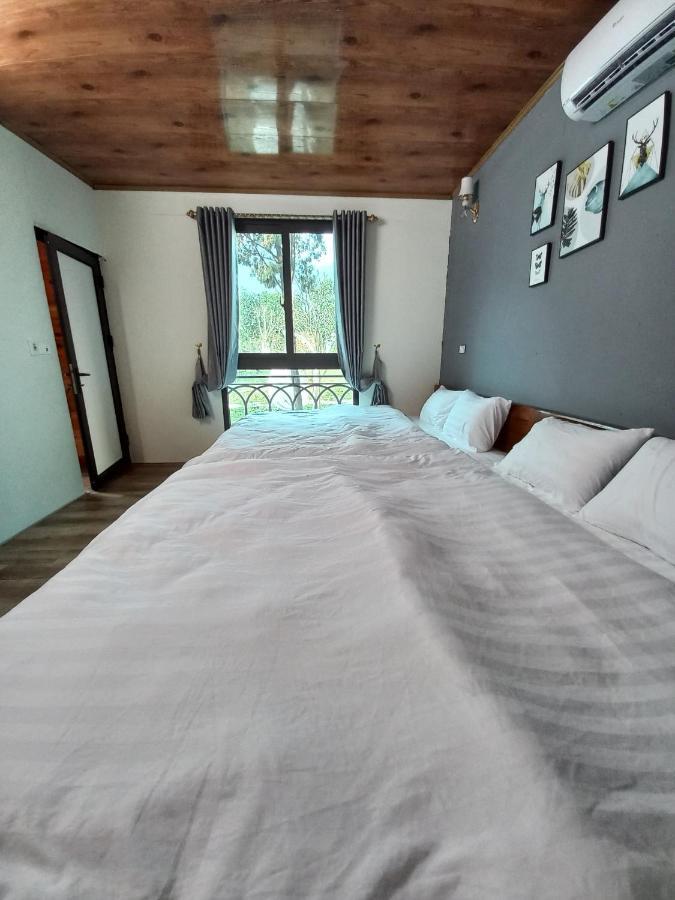 Cloudy - Venuestay Hanoi