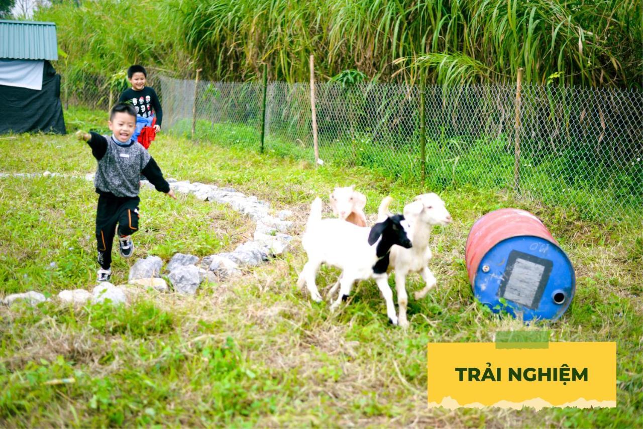 Wonder Farm Ba Vi - Edu & Retreat * Hanoi