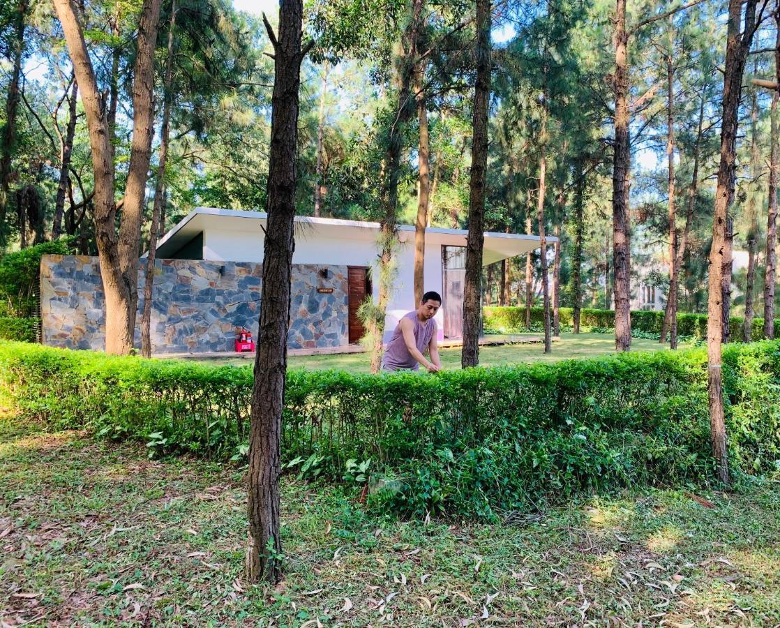 Hilltop Dai Lai H230 Hà Nội