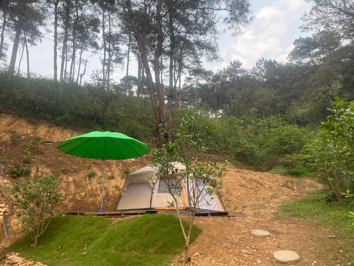Lavita Glamping Dong Do Luxury tent *