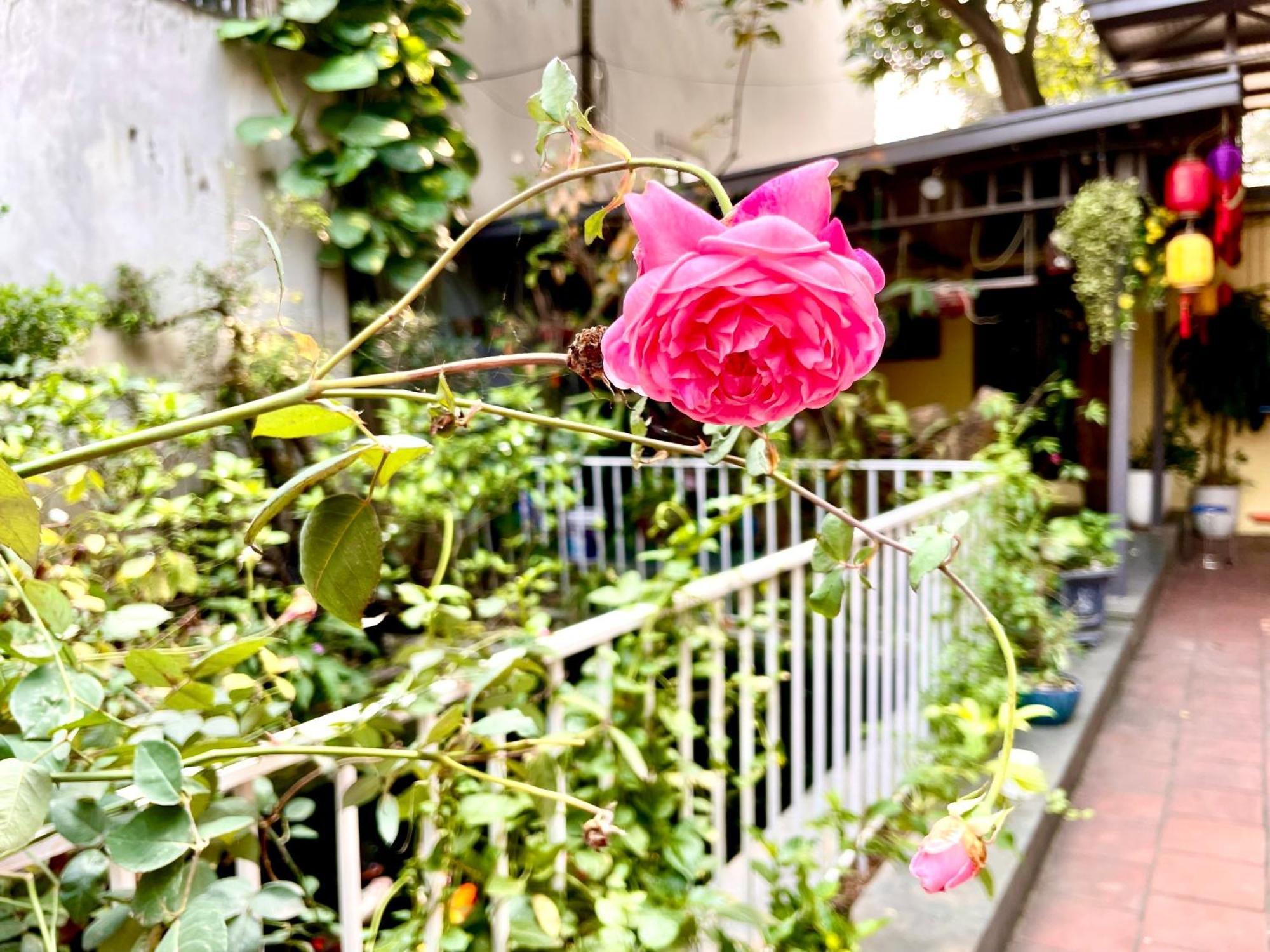 Lee Hanoi