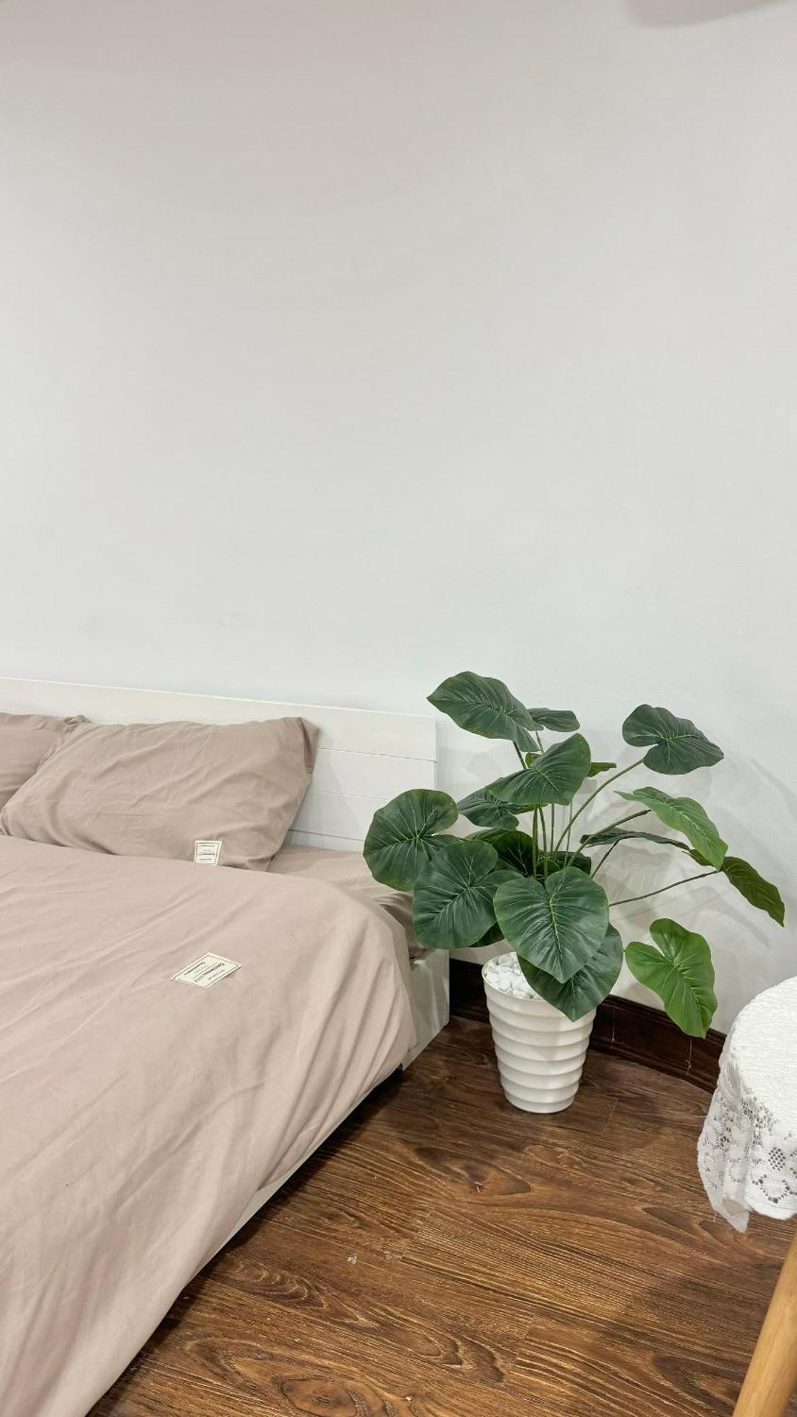 Bom House - Zxz Apartment *