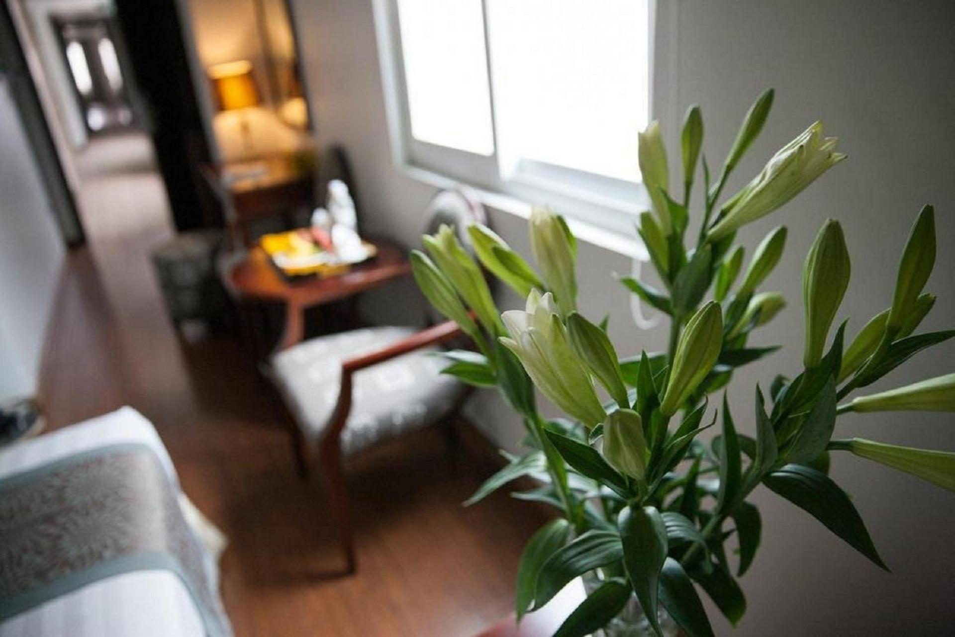 Hotel Dragon Boutique 3*