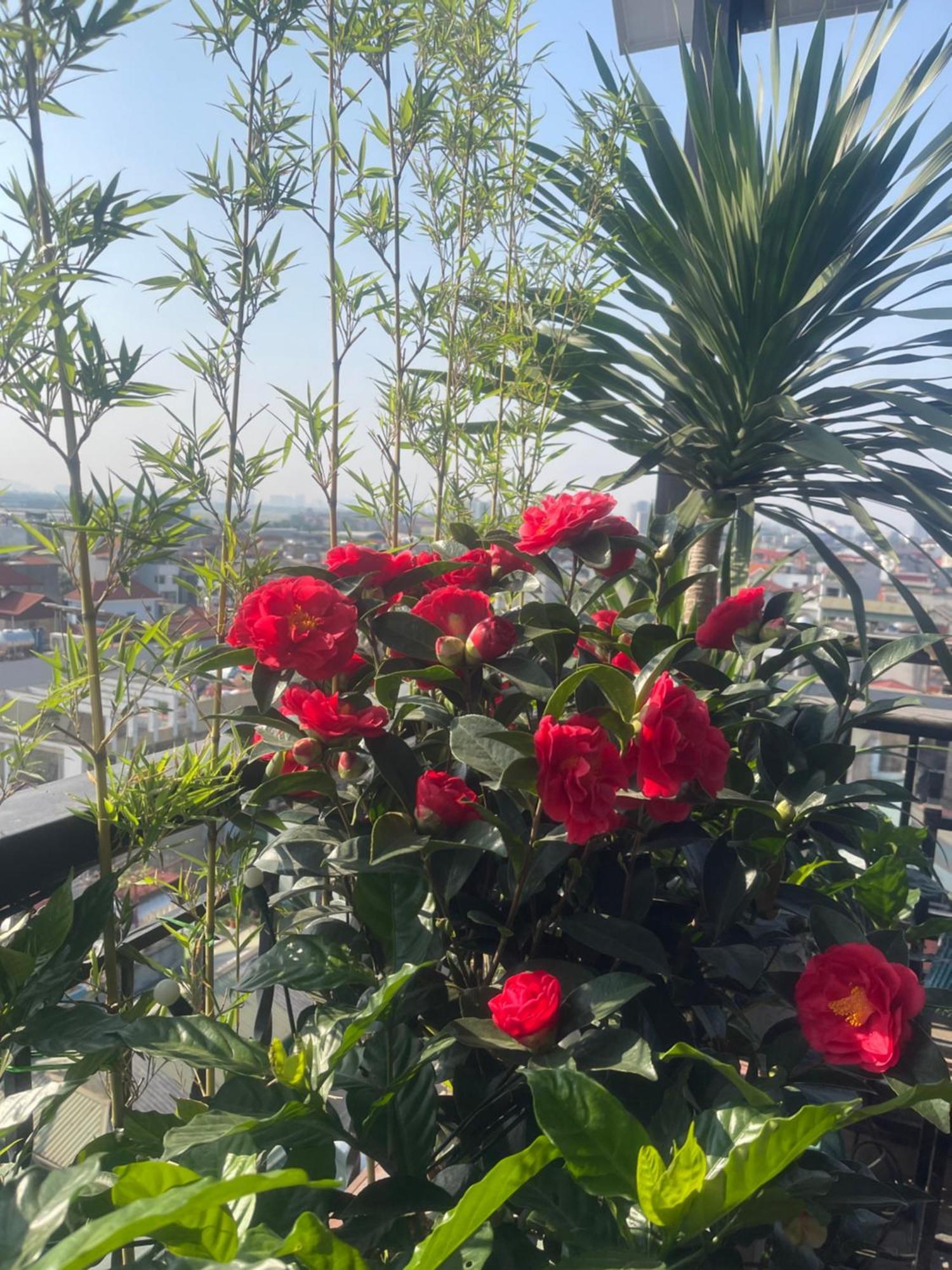 Apartment N&d Happy House- - Phong Tieu Chuan Khach San, Bep Nau Va Nha Ve Sinh Trong Khuon Vien *
