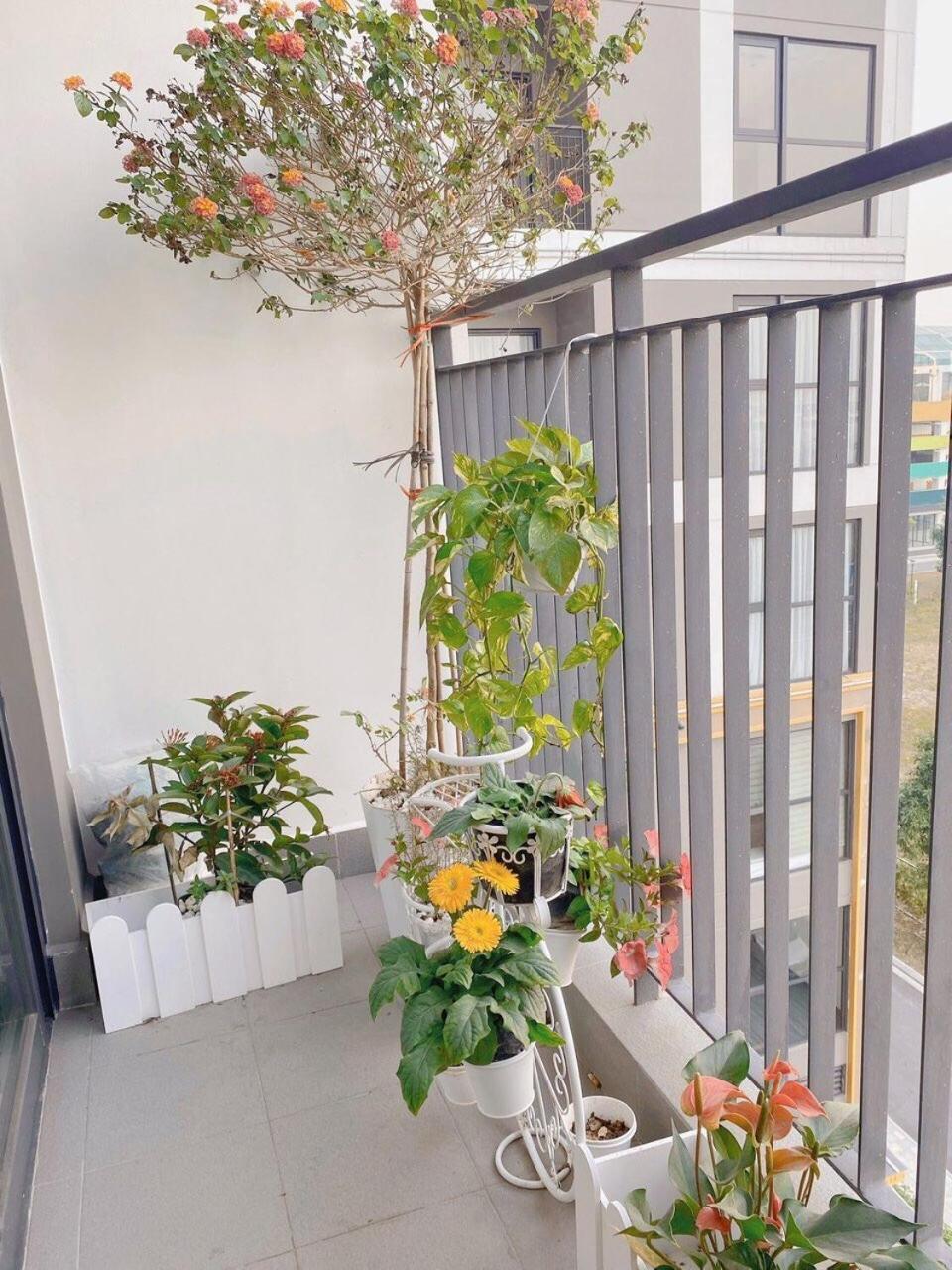 Bunny Bliss-service Apartment