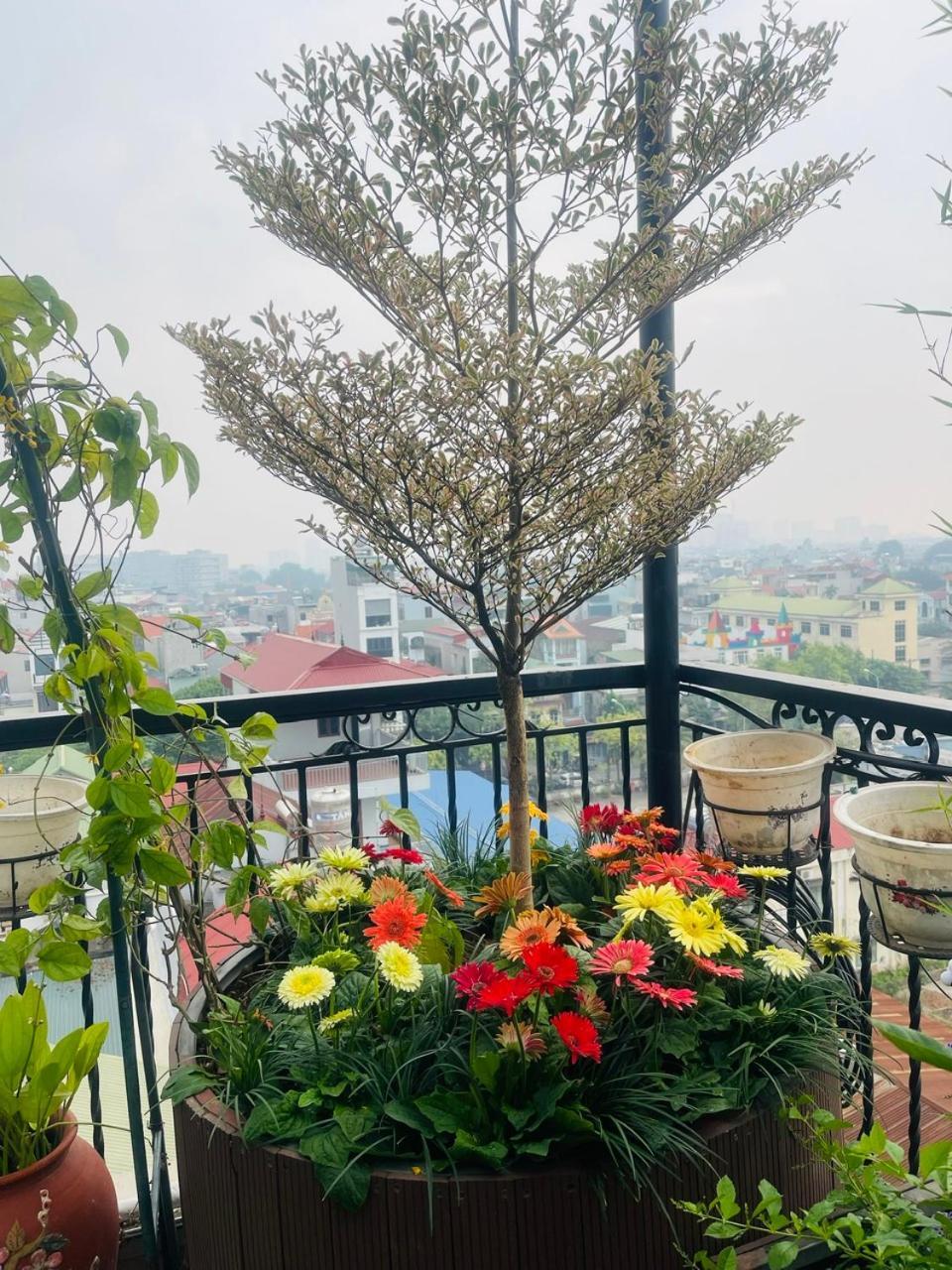 Apartment N&d Happy House- - Phong Tieu Chuan Khach San, Bep Nau Va Nha Ve Sinh Trong Khuon Vien *