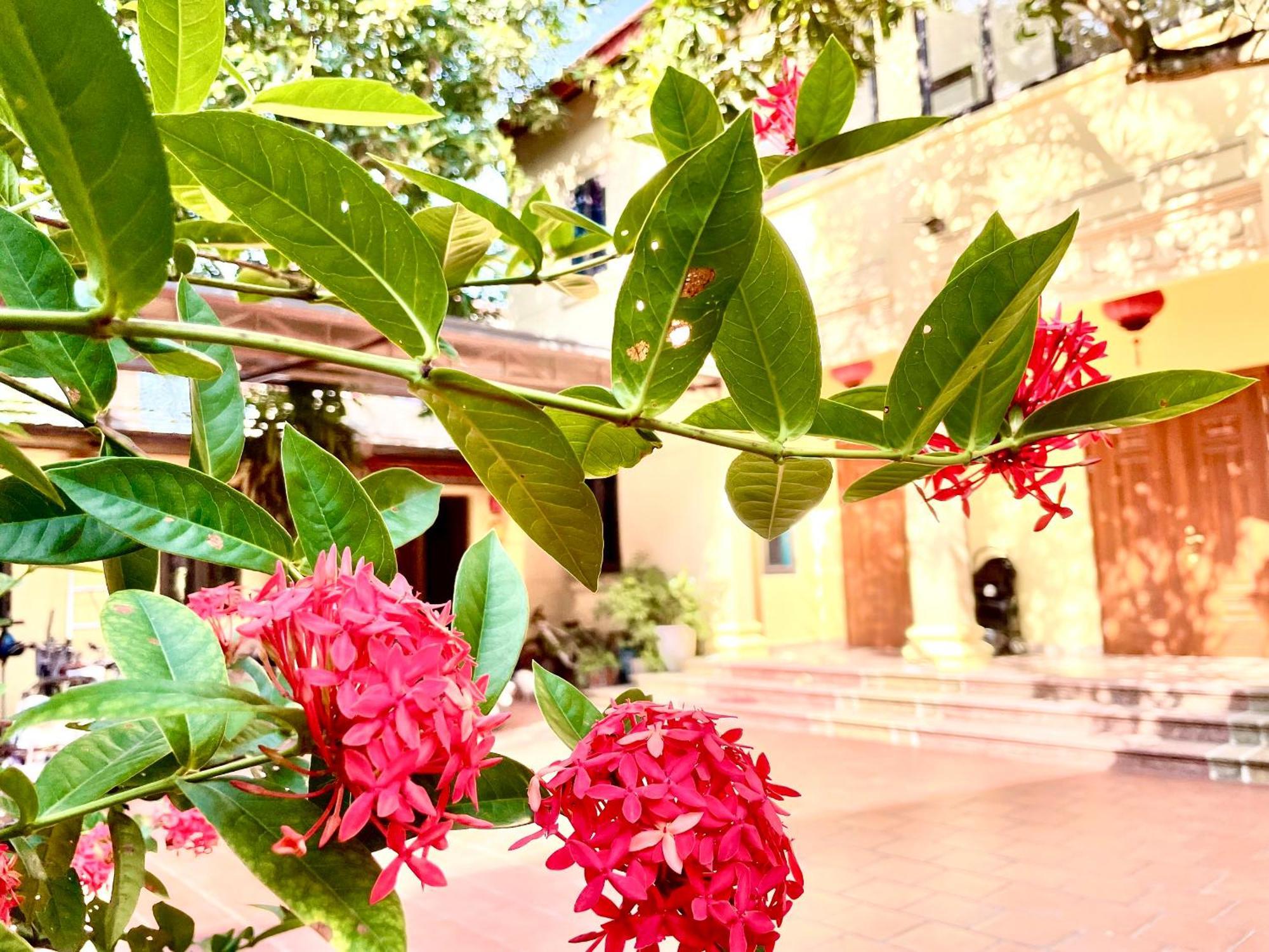 Lee Guest house *