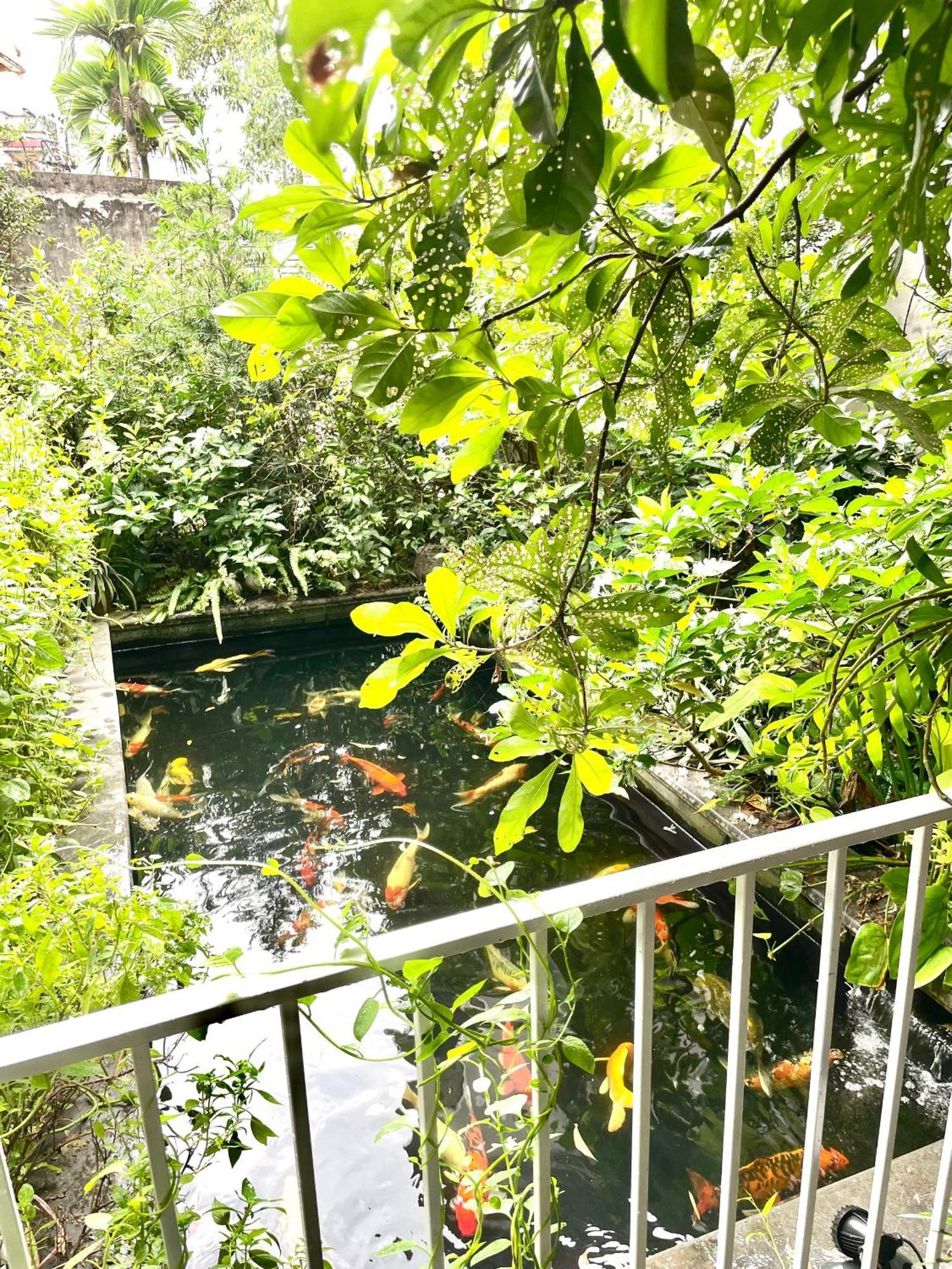 Lee Guest house *