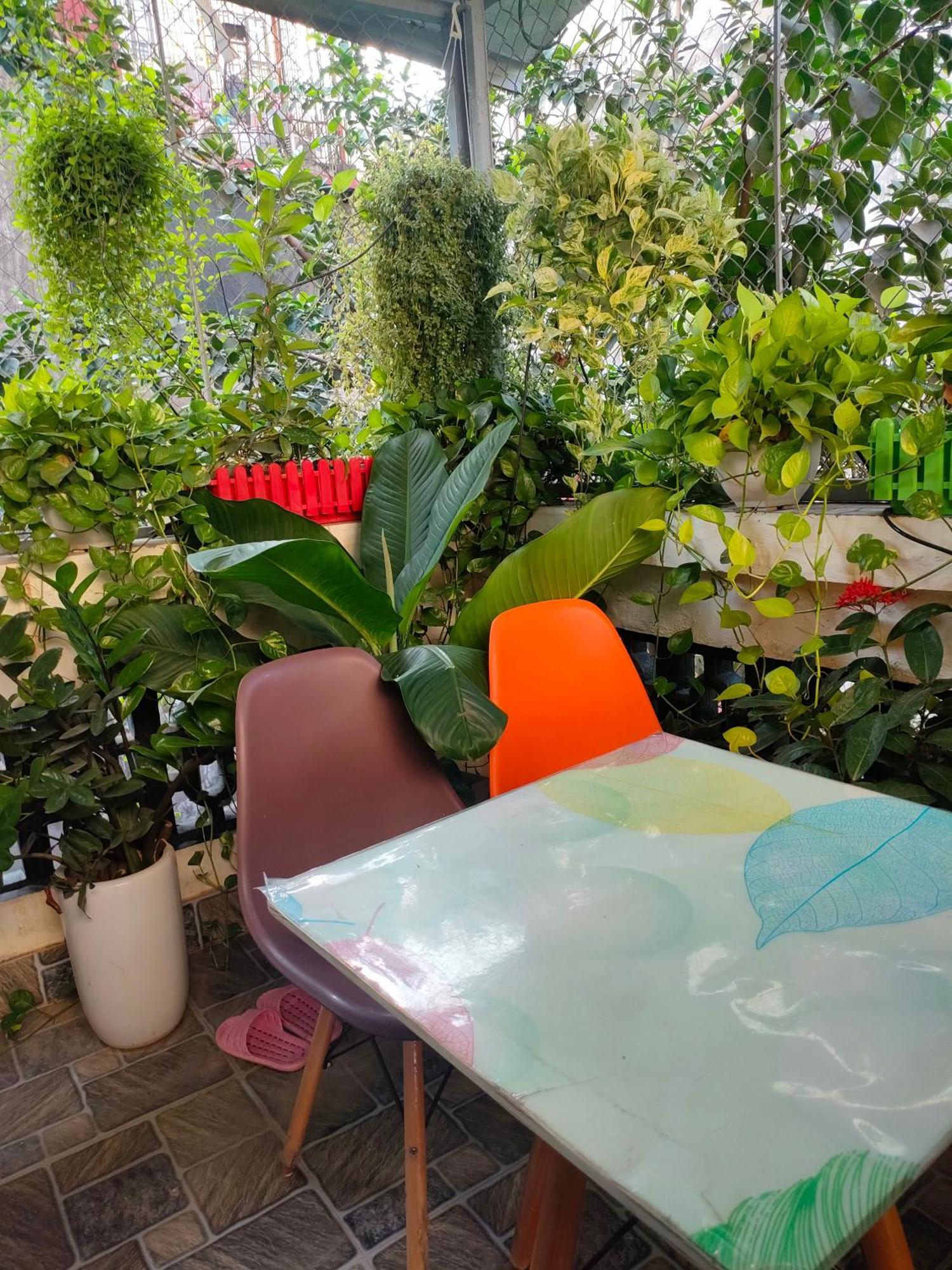 Orchid Homestay Apartment Hanoi