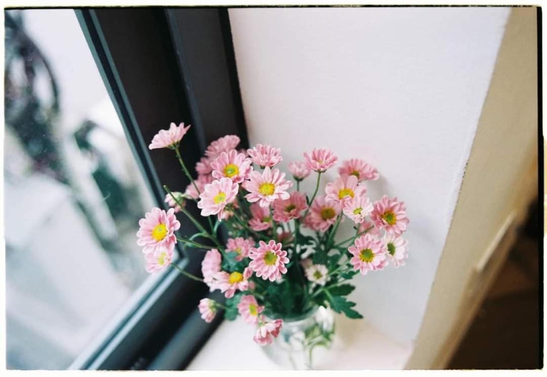 Ba Dinh Le Reveur Homestay Hanoi