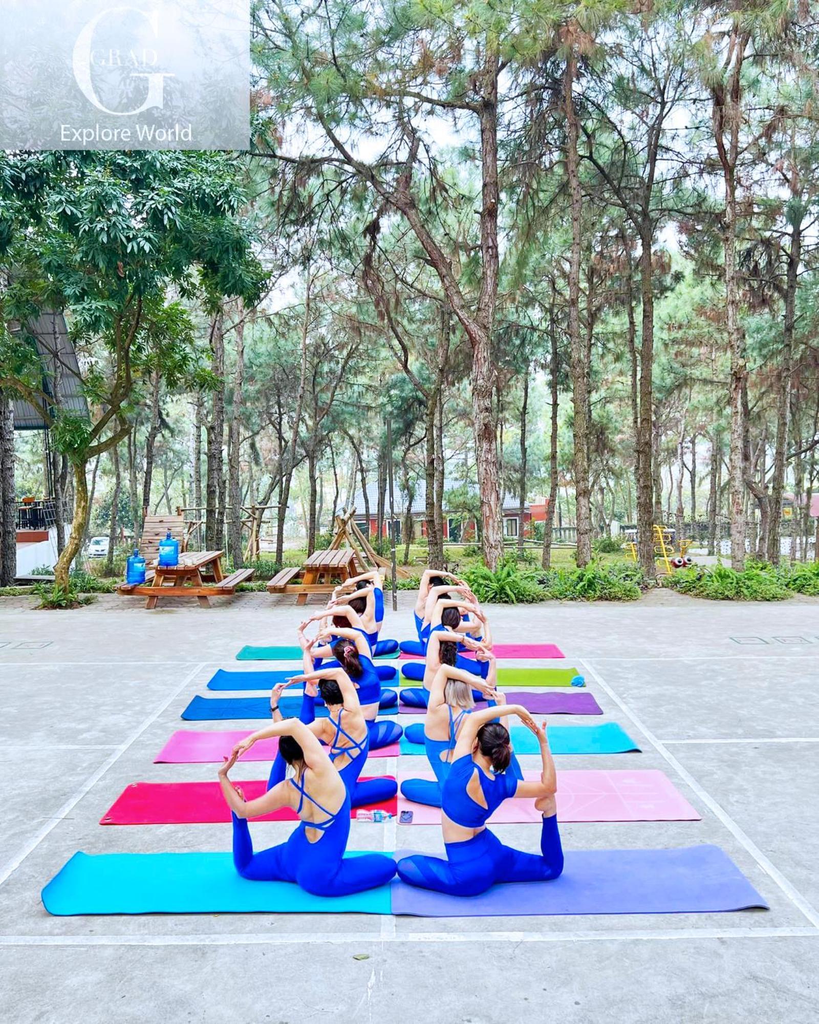 Cerf Volant Soc Son * Hanoi