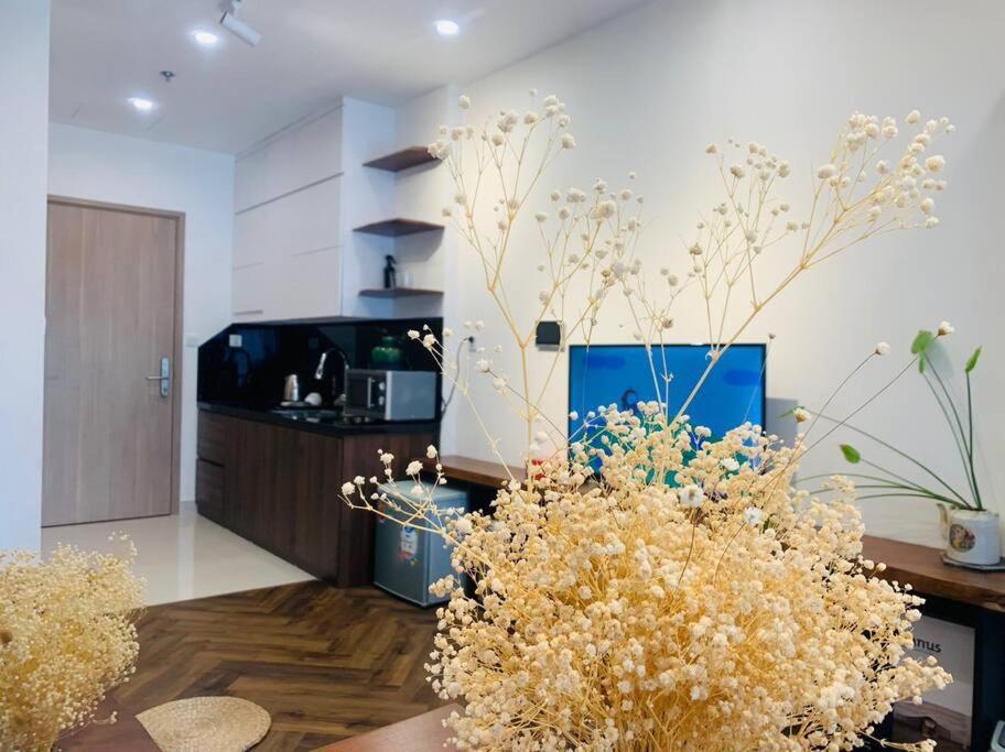 Vinhomes Smartcity - Zhomestay - Ho Dich Vu S3 *