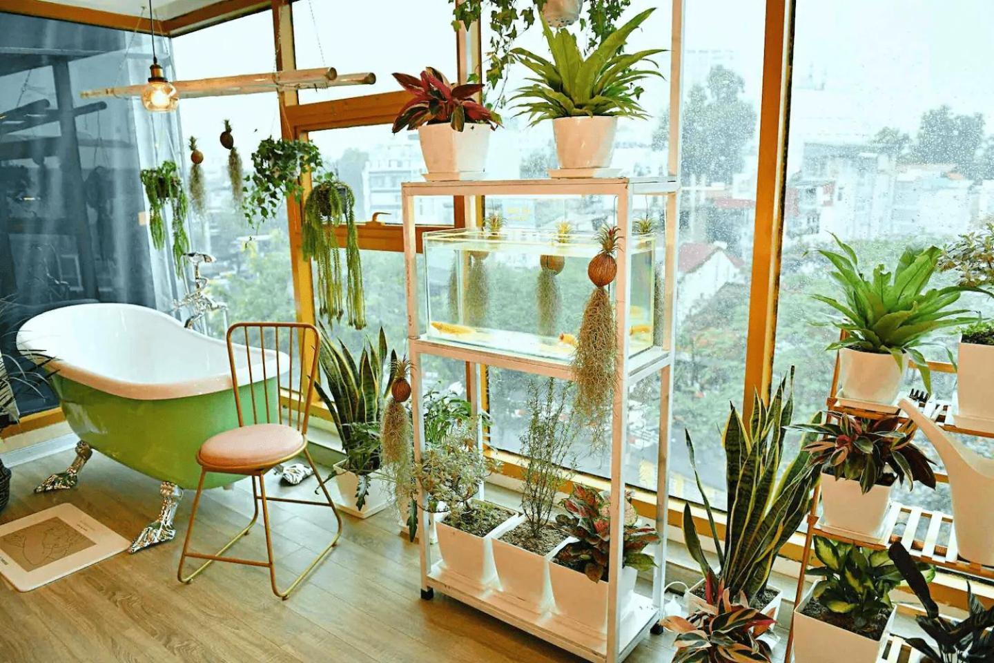 Langmandi Experience * Hanoi