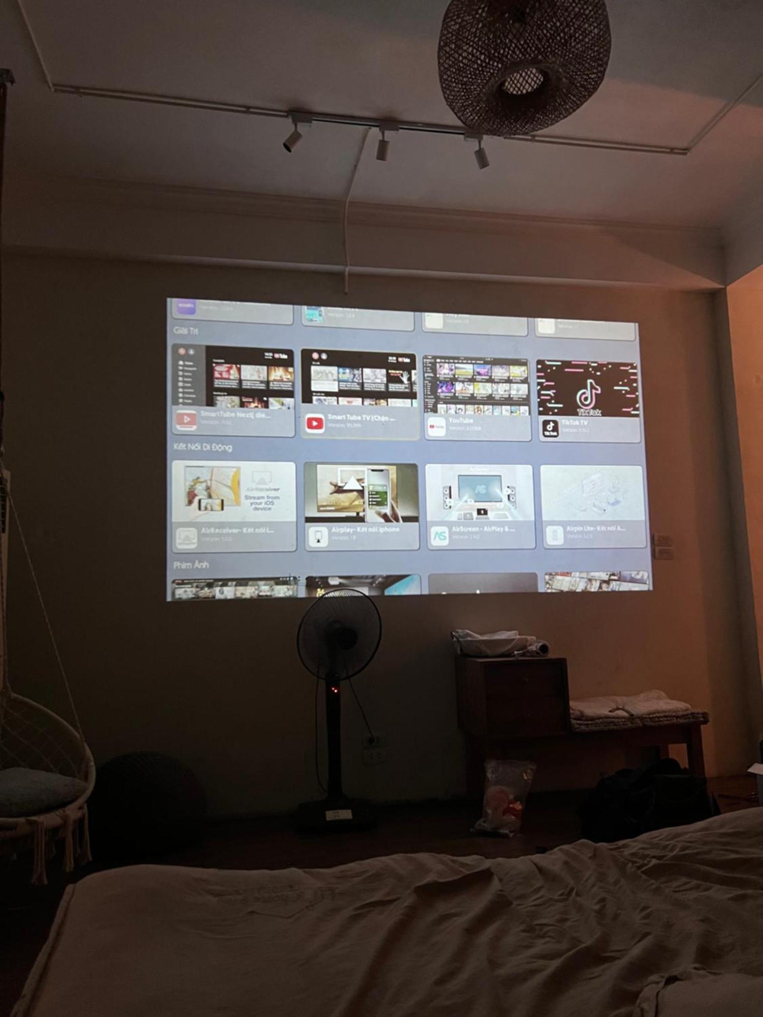 Lii's Homestay Apartment