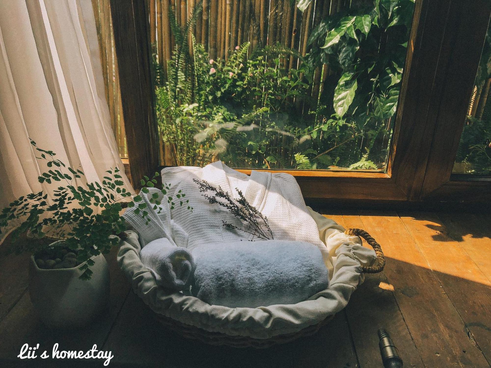 Lii's Homestay Apartment