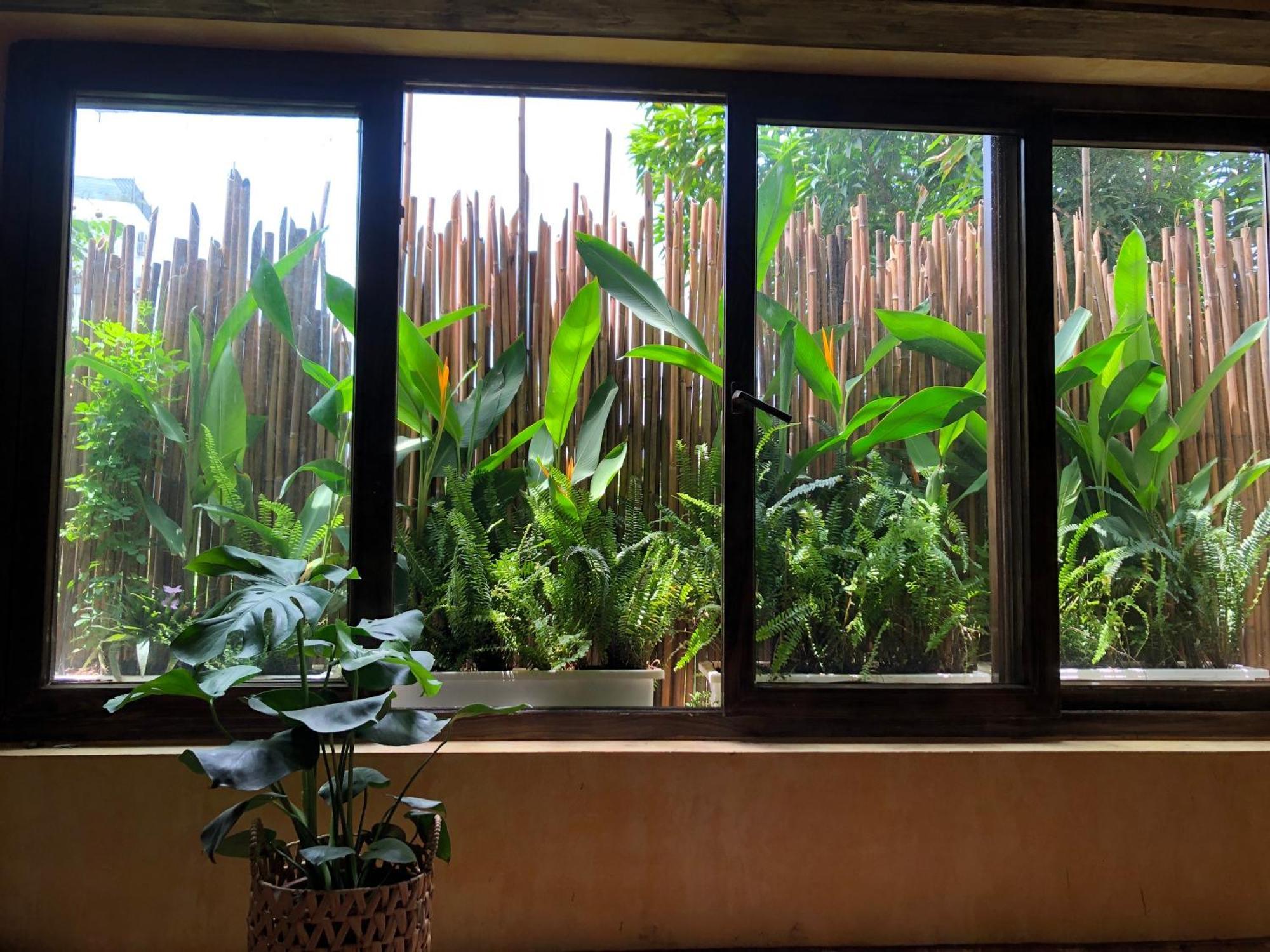 Lii's Homestay