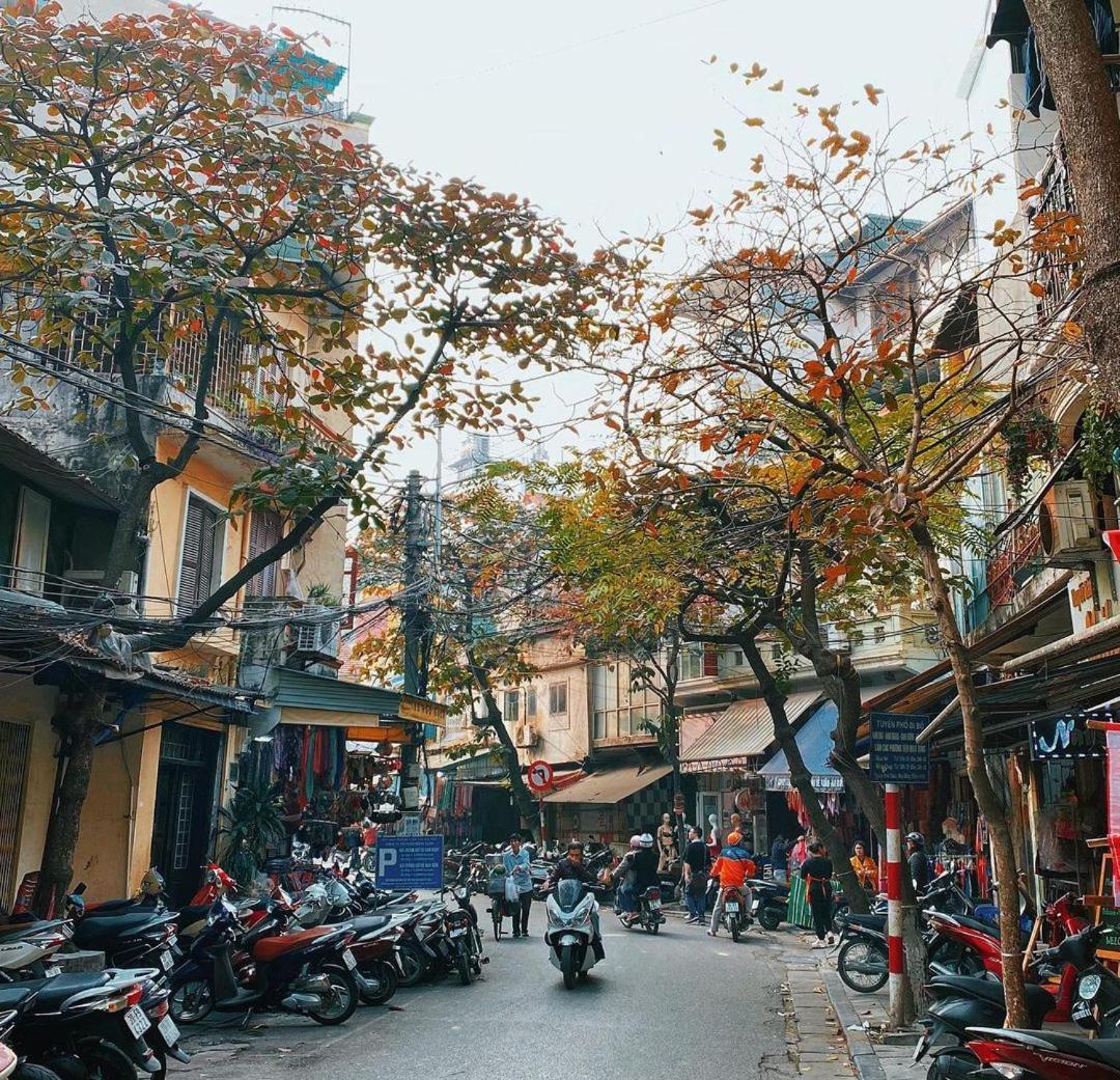 Little Seeds House-hanoi, 4brs,cinema, Old Quarter Hanoi