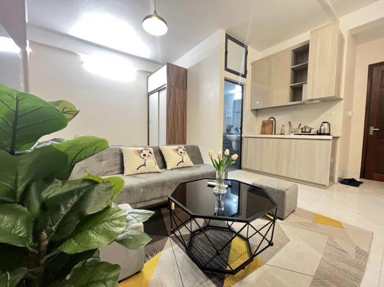 Lase Lit Homes - Ha Noi Apartment